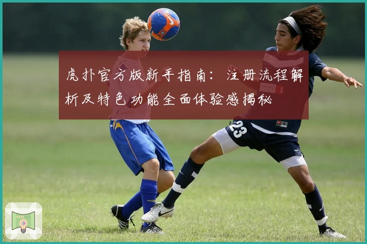 虎扑官方版新手指南:注册流程解析及特色功能全面体验感揭秘