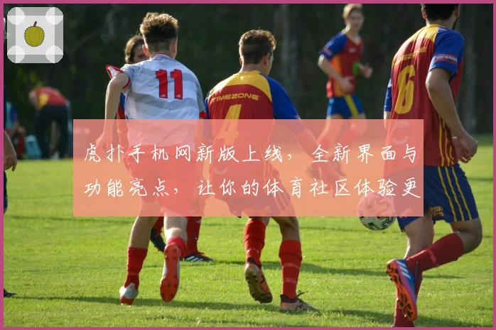 虎扑手机网新版上线，全新界面与功能亮点，让你的体育社区体验更畅快